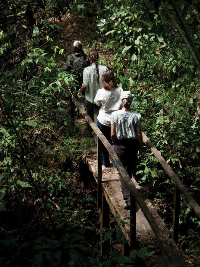 プエルト・マルドナード Inkaterra Hacienda Concepcionヴィラ エクステリア 写真